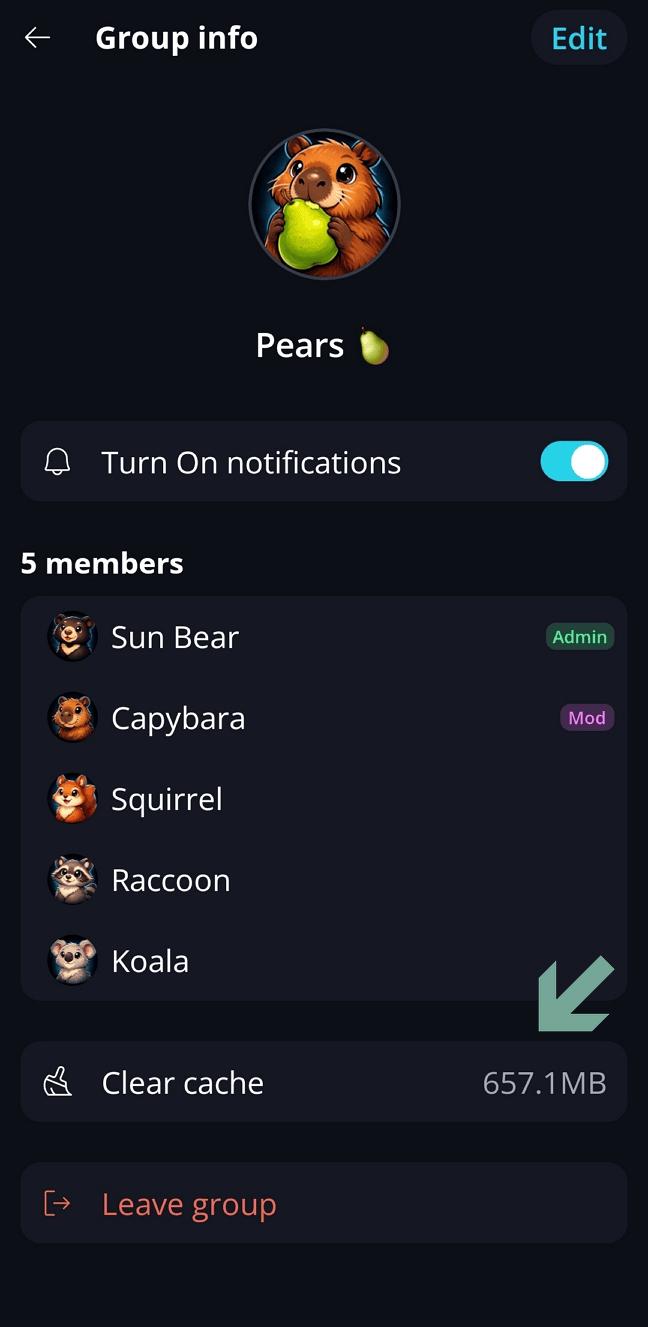 Clear Cache 🧹 · Mobile Open 'Group options' and tap 'Clear Cache':.